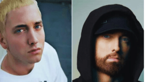 what is slim shady