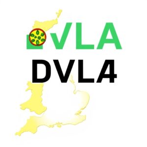 dvla