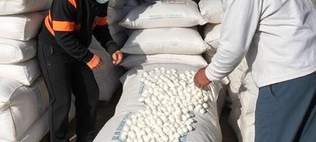 Doctors warn flour sacks entering Gazed mixed with Oxycodone: Report