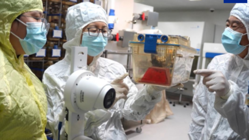 China Space Exploration