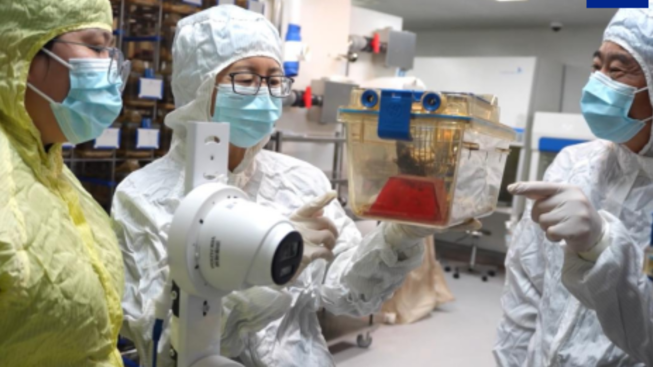 China Space Exploration